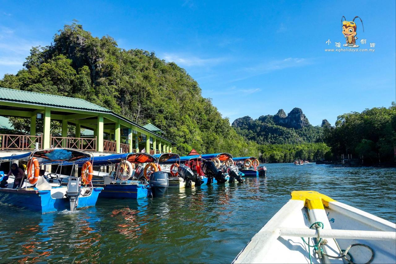 Jelajahi Keajaiban Hutan Mangrove Langkawi dengan Tur Mangrove yang Menakjubkan